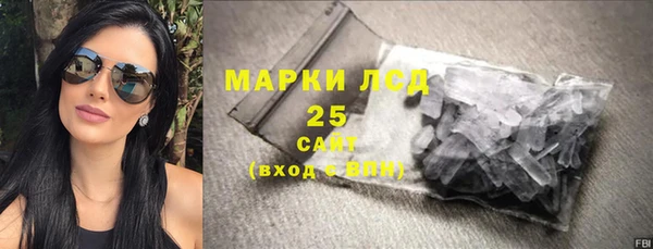 дживик Новозыбков