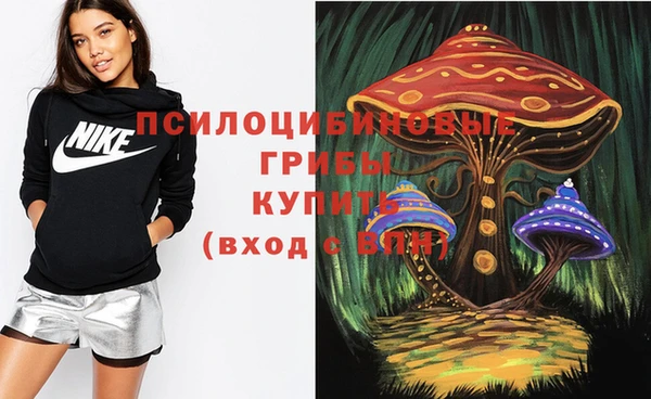 каннабис Новодвинск