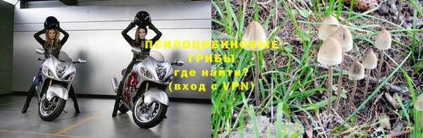 каннабис Новодвинск