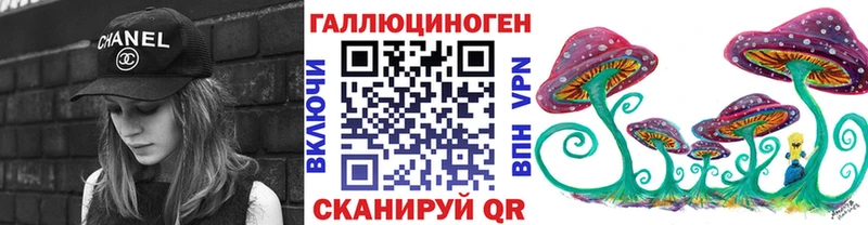 где найти наркотики  Пудож  Псилоцибиновые грибы ЛСД 